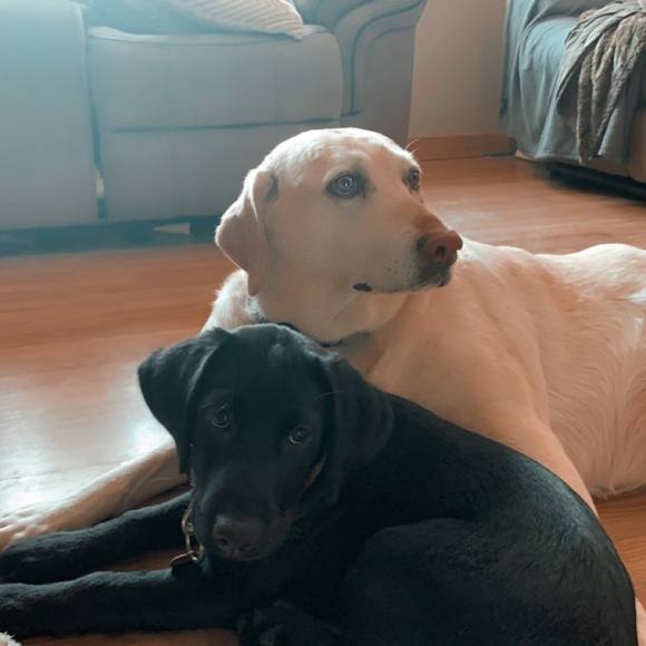 Meet your Posher, Kalyn - Picture 1 of 1